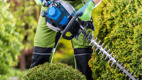 Landscaping trade service image