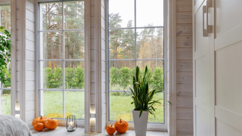 Windows and doors trade service image